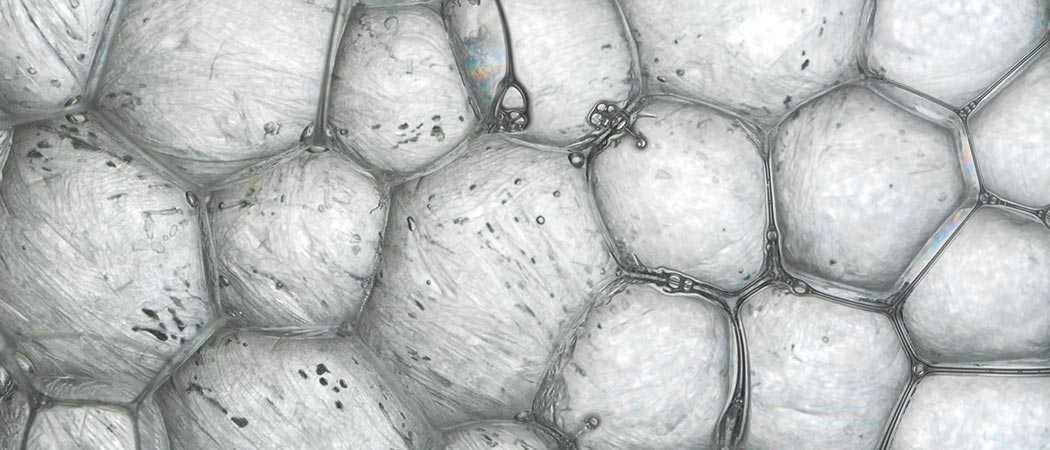 Battling the Military’s Most Ancient Foe by Nurturing Gut Bacteria